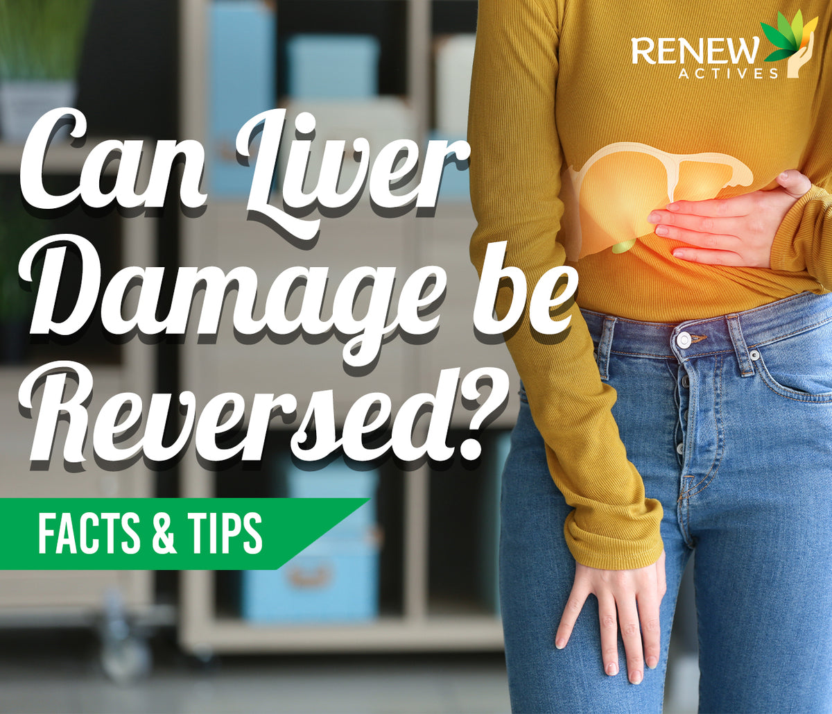 Can liver damage be reversed? Renew Actives US