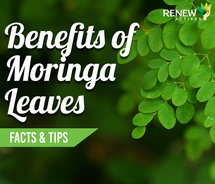 Why Moringa Leaves are Good for You