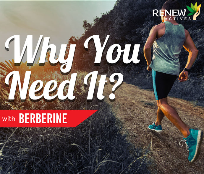Berberine: Why You Need It?