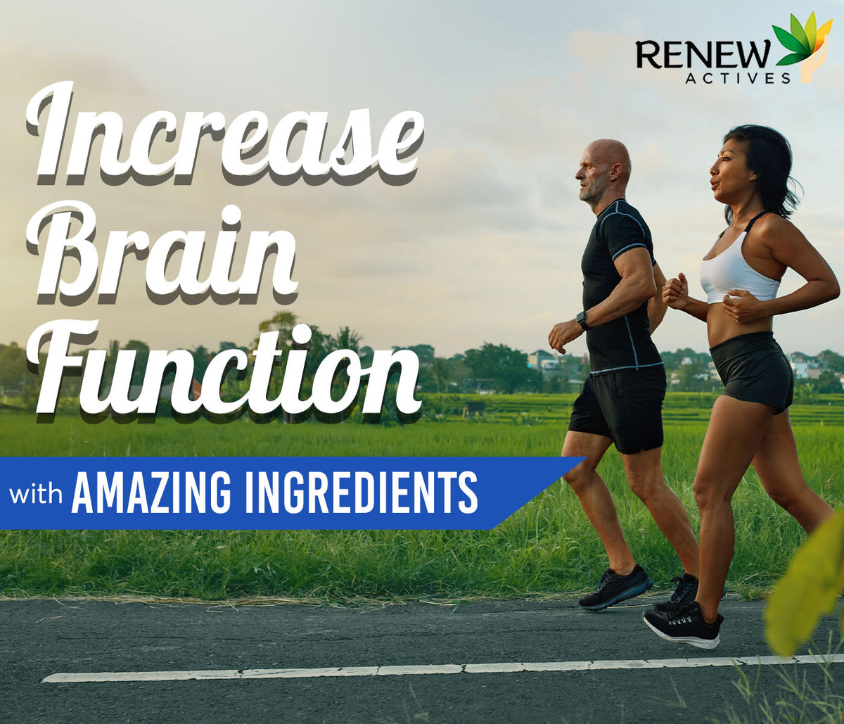 Increase Brain Function with these Amazing Ingredients β Renew Actives US