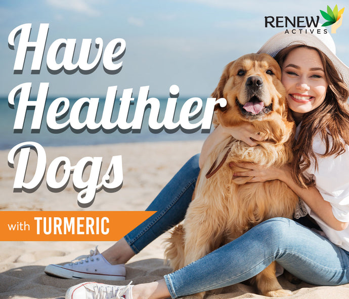 Have Healthier Dogs with Turmeric