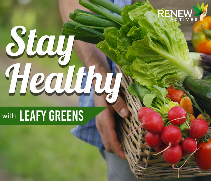 Stay Healthy with These Powerful Leafy Greens