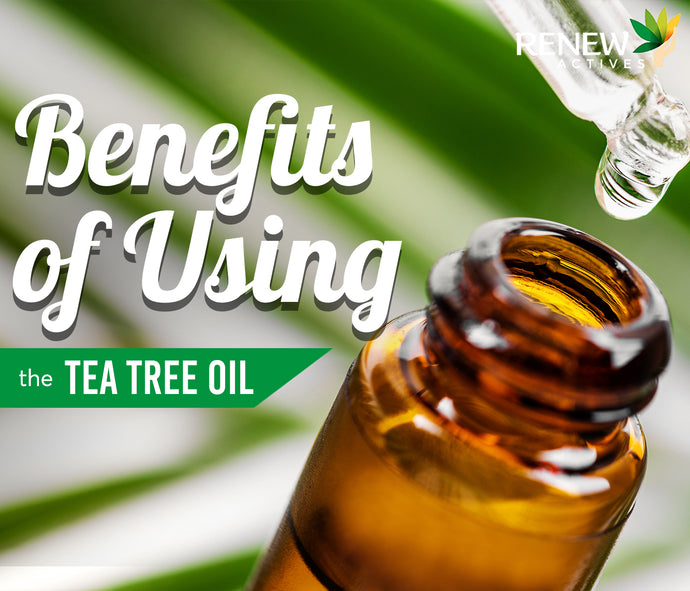 What are the Benefits of Using Tea Tree Oil?