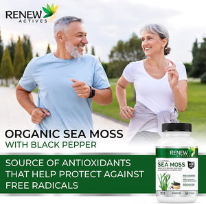 Renew Actives Sea Moss Capsules - Powerful Triple-Action Antioxidant Seamoss Pills with BioPerine®