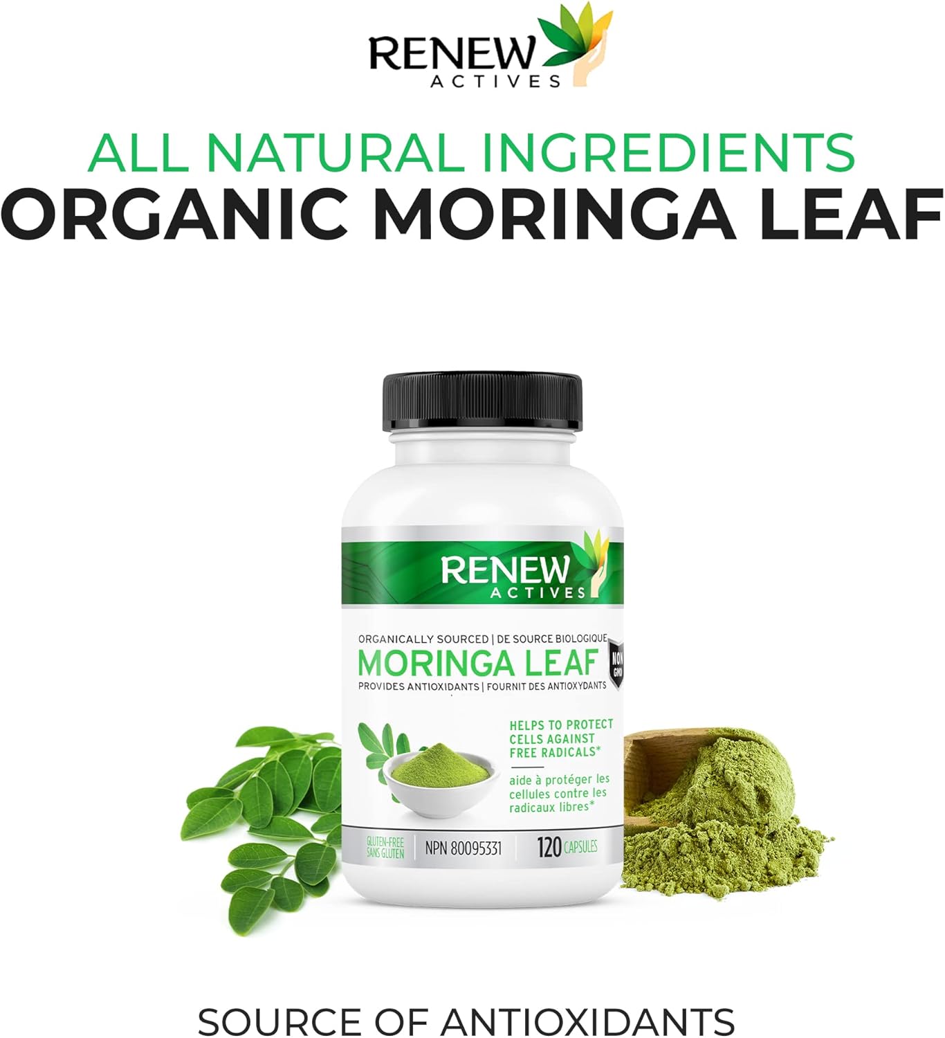 Moringa Leaf 800mg - 120 Capsules