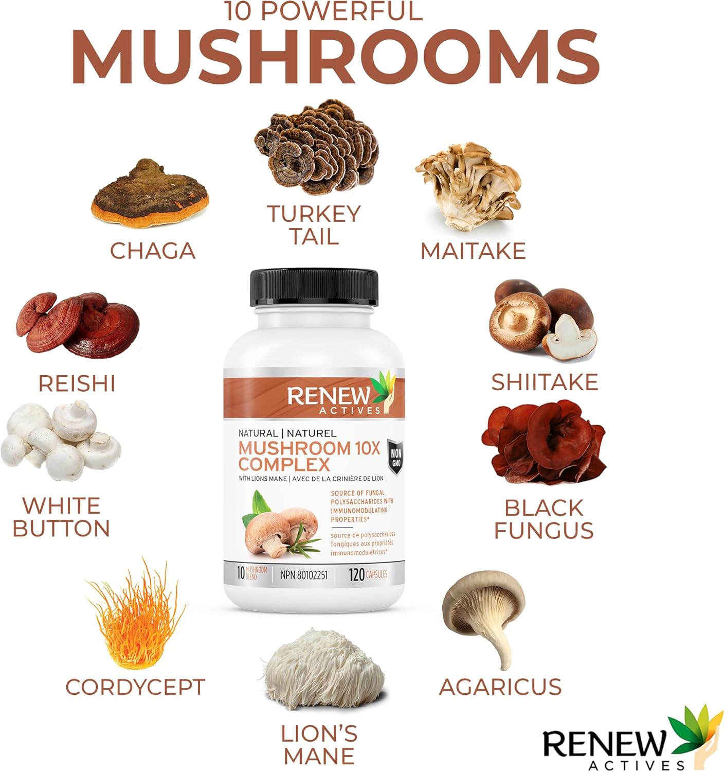 Premium Mushroom 10X Complex with Reishi & Lions Mane