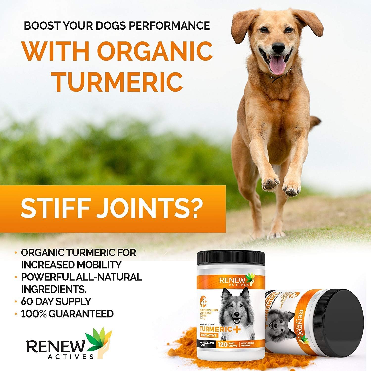 Organic Turmeric Joint Supplement for Dogs - 120 Soft Chews