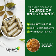 Load image into Gallery viewer, Renew Actives Sea Moss Capsules - Powerful Triple-Action Antioxidant Seamoss Pills with BioPerine®
