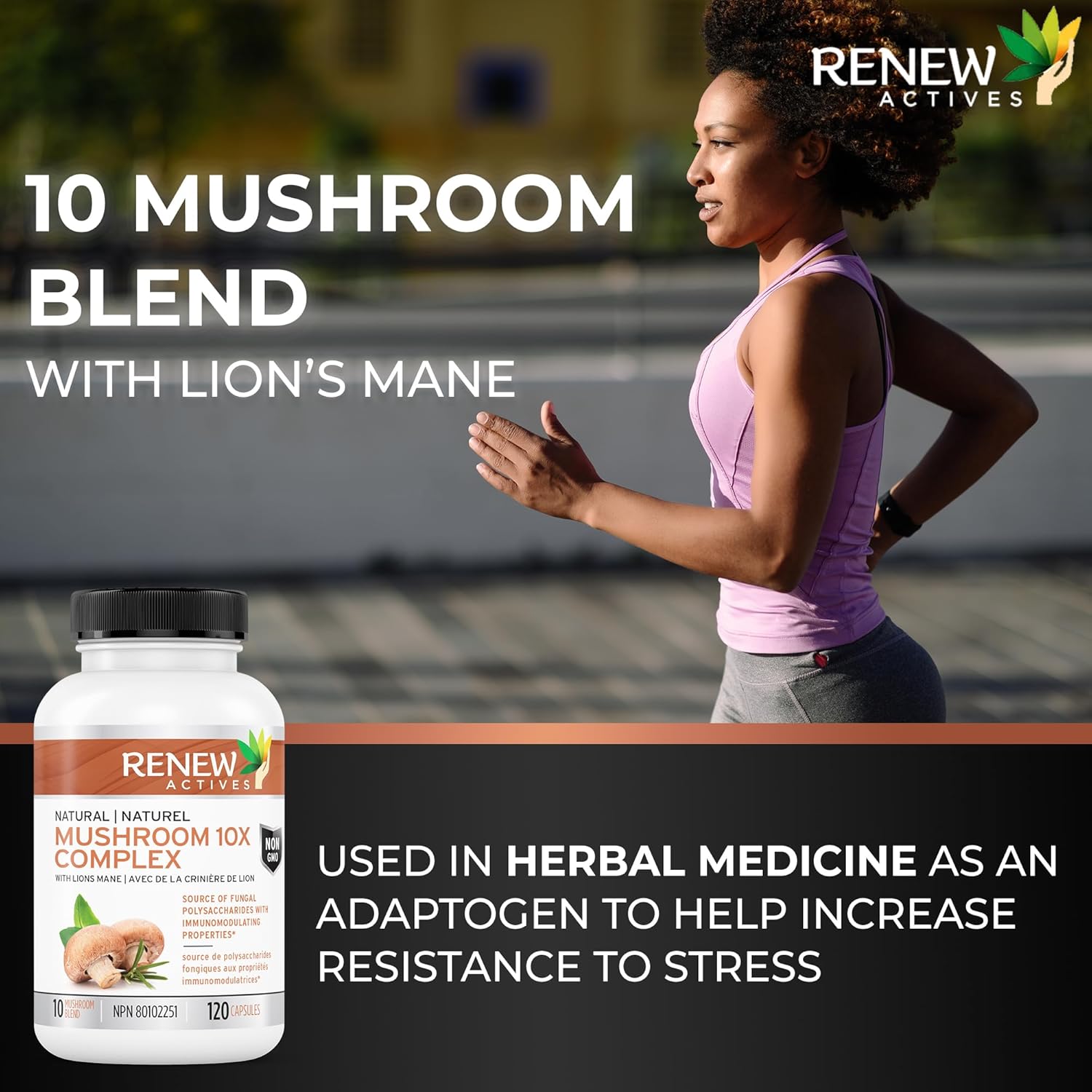 Premium Mushroom 10X Complex with Reishi & Lions Mane