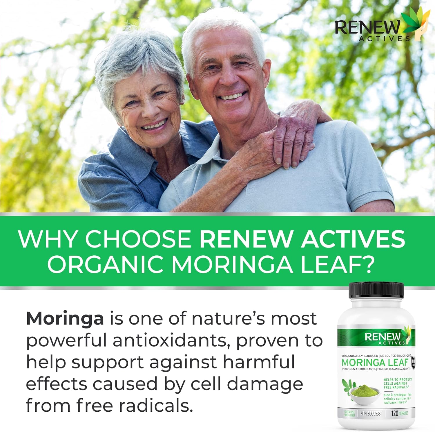 Moringa Leaf 800mg - 120 Capsules