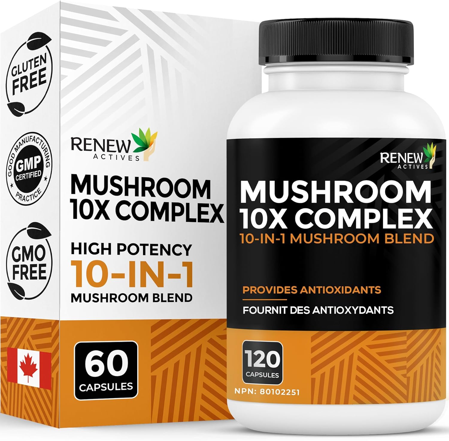 Premium Mushroom 10X Complex with Reishi & Lions Mane
