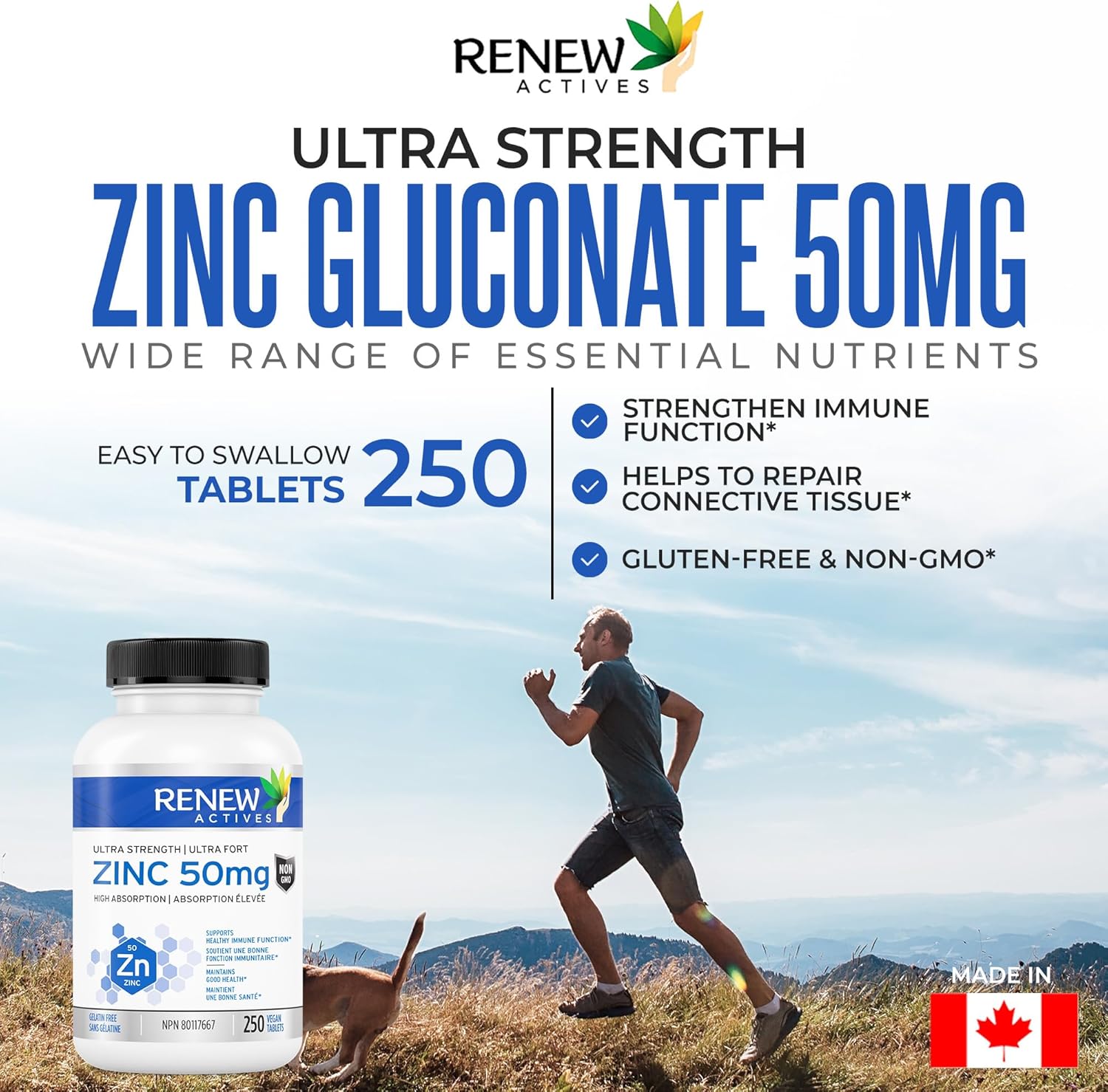 Renew Actives Zinc Supplements 50MG - for Healthy Skin, a Strong Immune System, and Enhanced Hair Growth