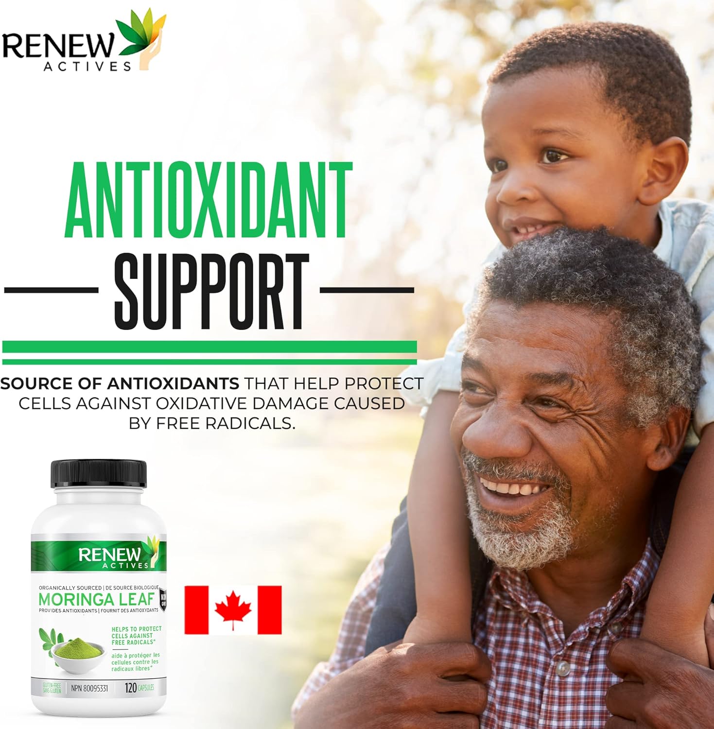 Moringa Leaf 800mg - 120 Capsules