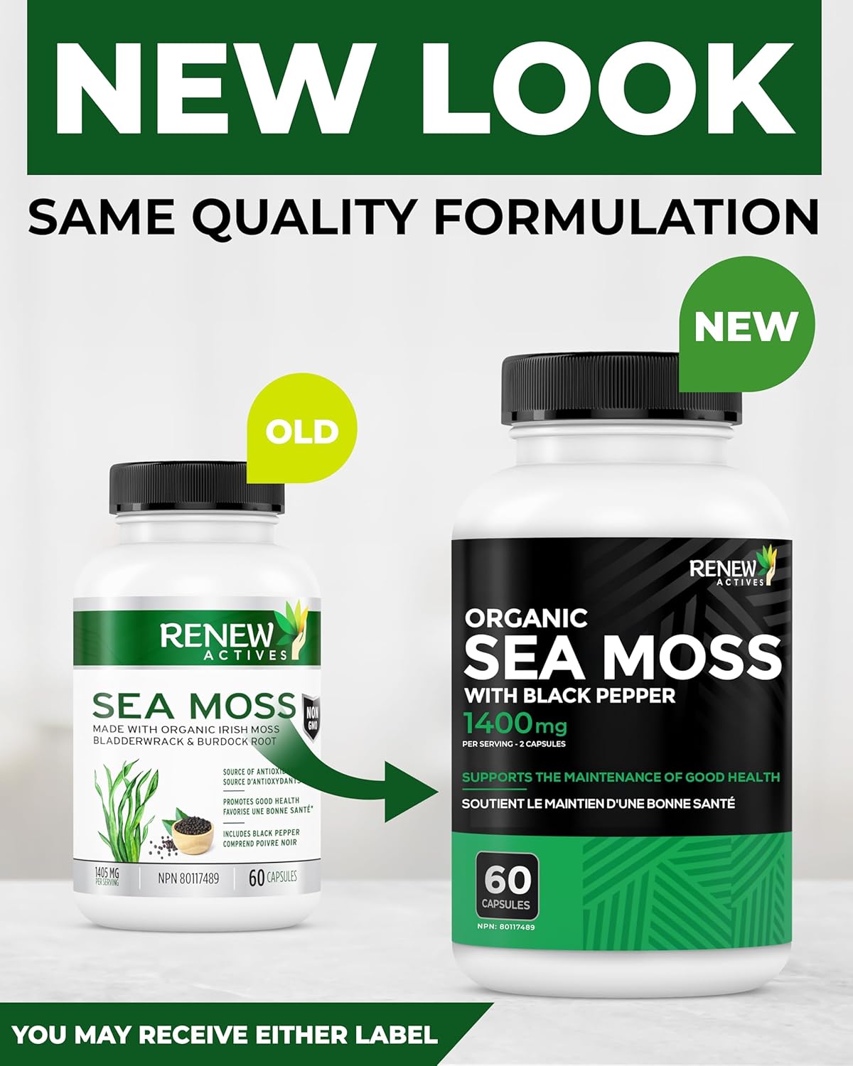 Renew Actives Sea Moss Capsules - Powerful Triple-Action Antioxidant Seamoss Pills with BioPerine®