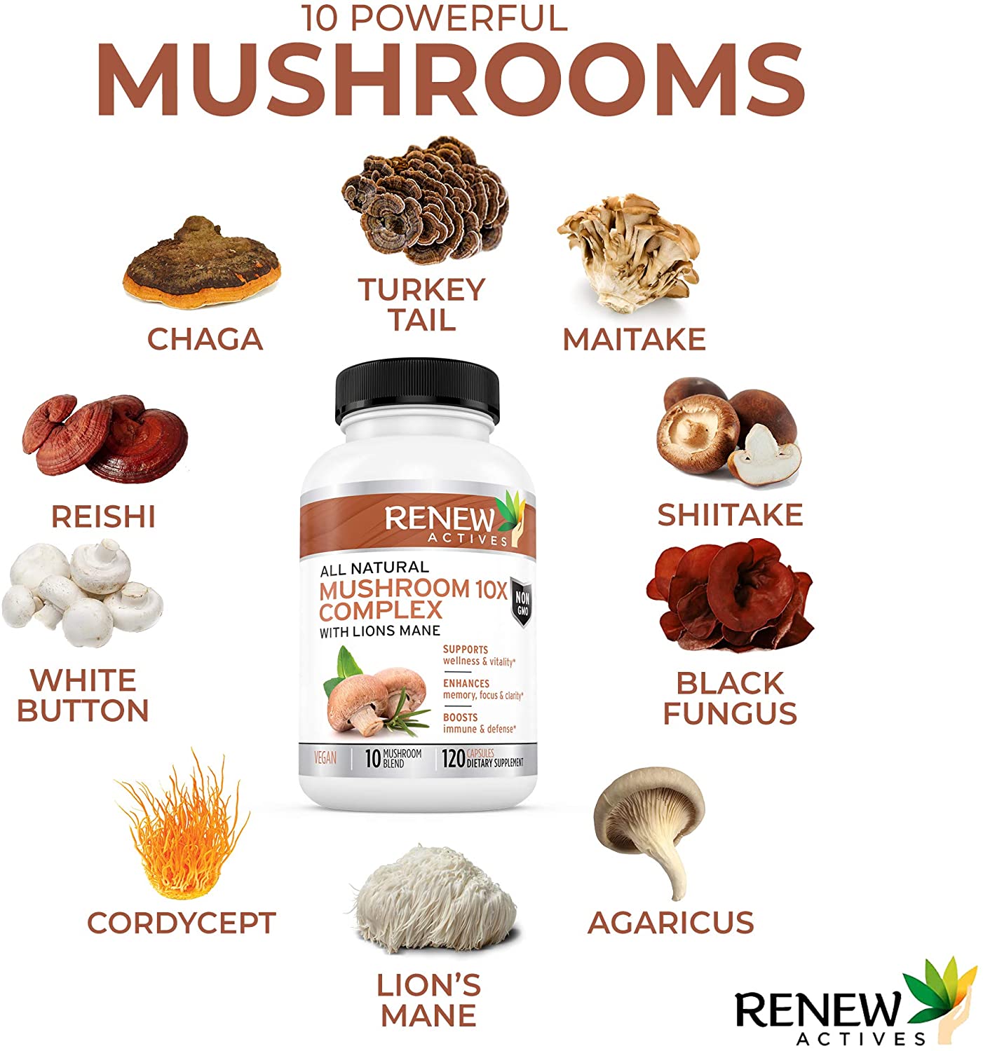 Premium Mushroom 10X Complex with Reishi & Lions Mane